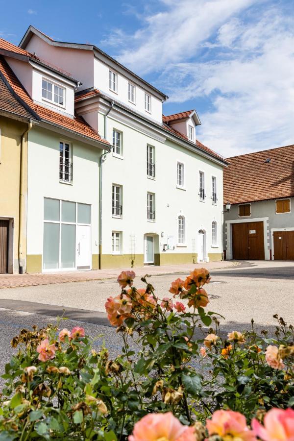 Apartamento Braviscasa - Ferienresidenz Kenzingen Europa Park Exterior foto